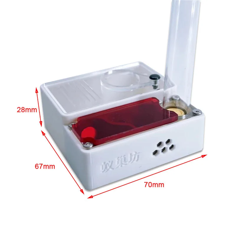 3D Printed Ant Farm queen ant' - Begonia Rex avis et prix