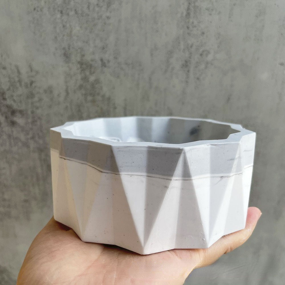 For Fun Flower Pot Silicone Mo - Echeveria Succulent avis et prix